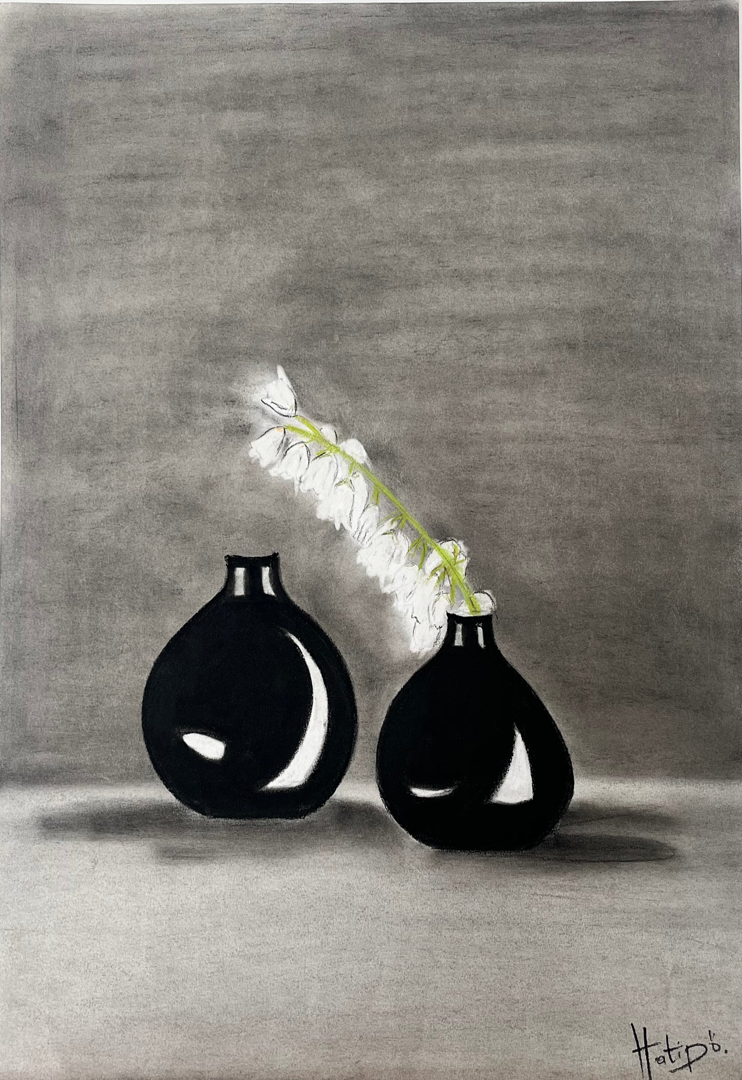 DUO VASE & BLANC